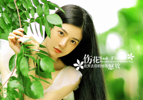 唯美的句子短语