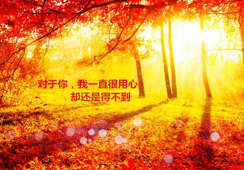 人生感悟哲理句子