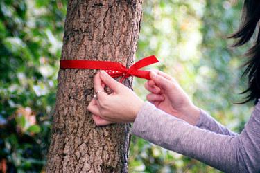 唯美句子大全清新