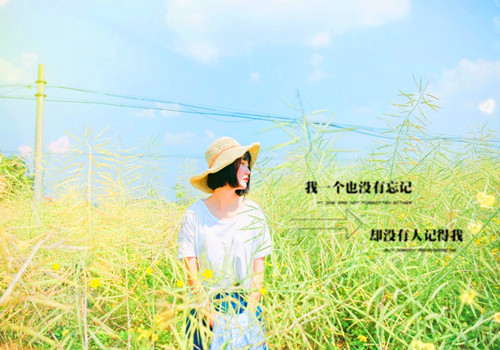 淡淡唯美句子说说心情短语大全