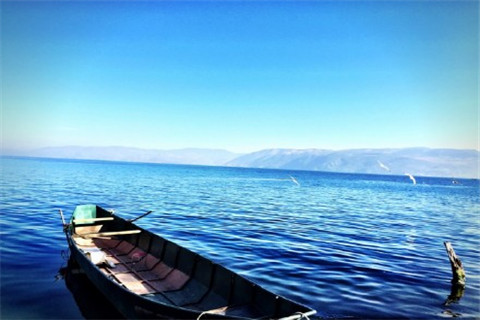 唯美句子大全爱情简短温暖