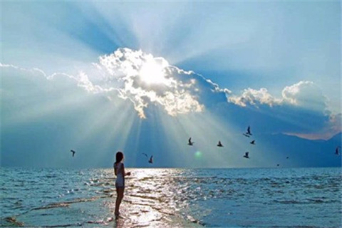 唯美句子最新爱情简短温暖