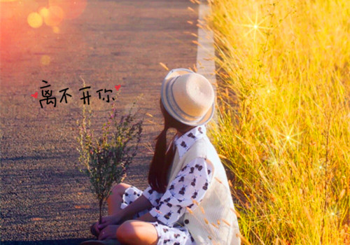 淡淡唯美句子心情短语