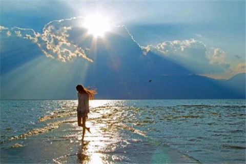 最新唯美句子爱情简短温暖