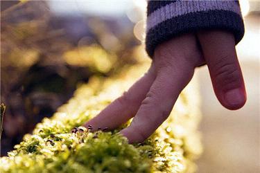 唯美句子温暖清新最新