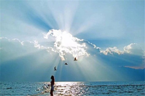 唯美句子爱情简短温暖最新