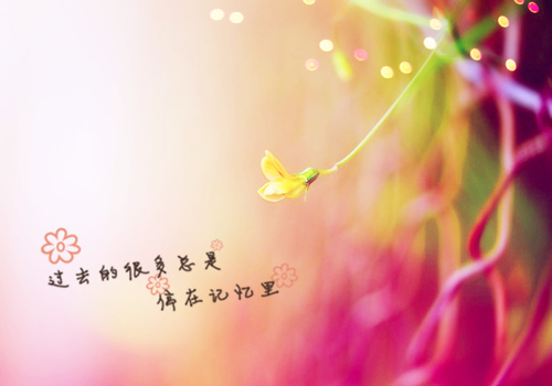 生活感悟句子简短正能量