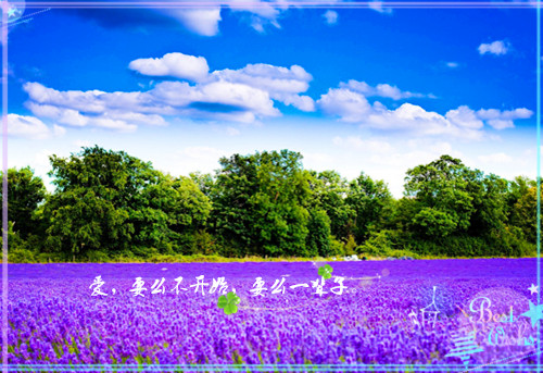 最新甜到炸的小情话