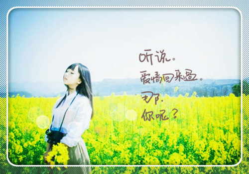 100句浪漫情话短句唯美