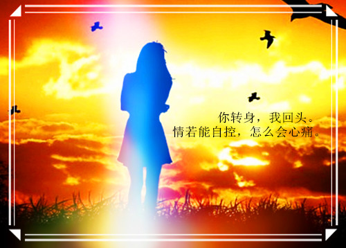 情话大全浪漫情话真诚