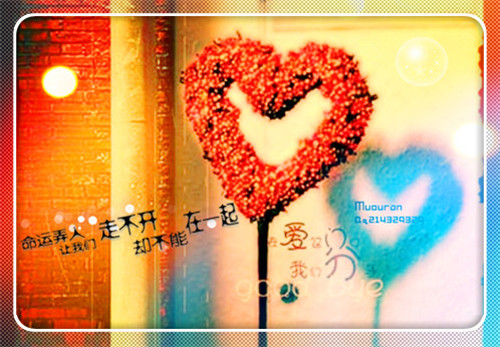 最新浪漫爱情语录